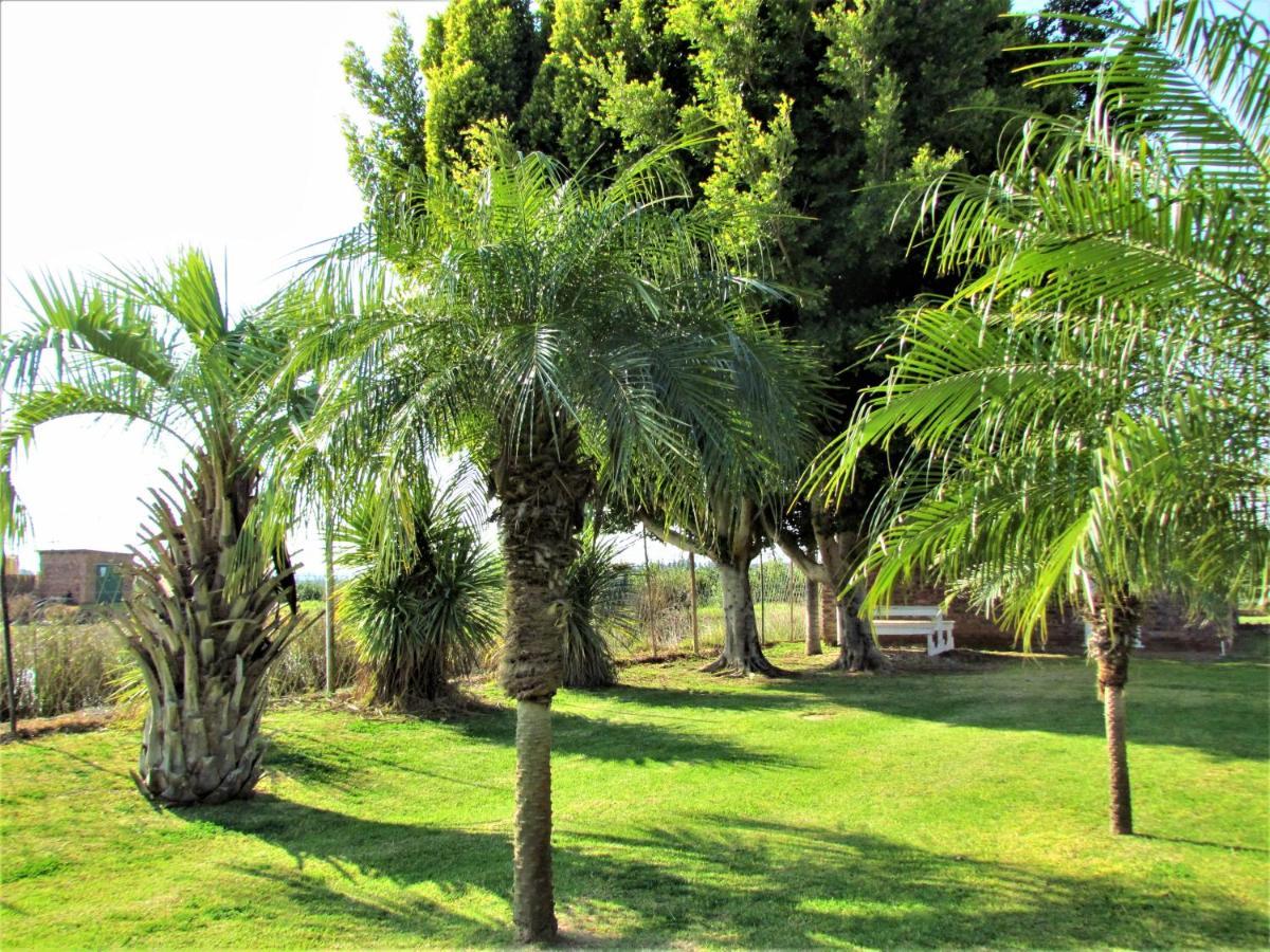 Summerville Place Addo Exteriör bild